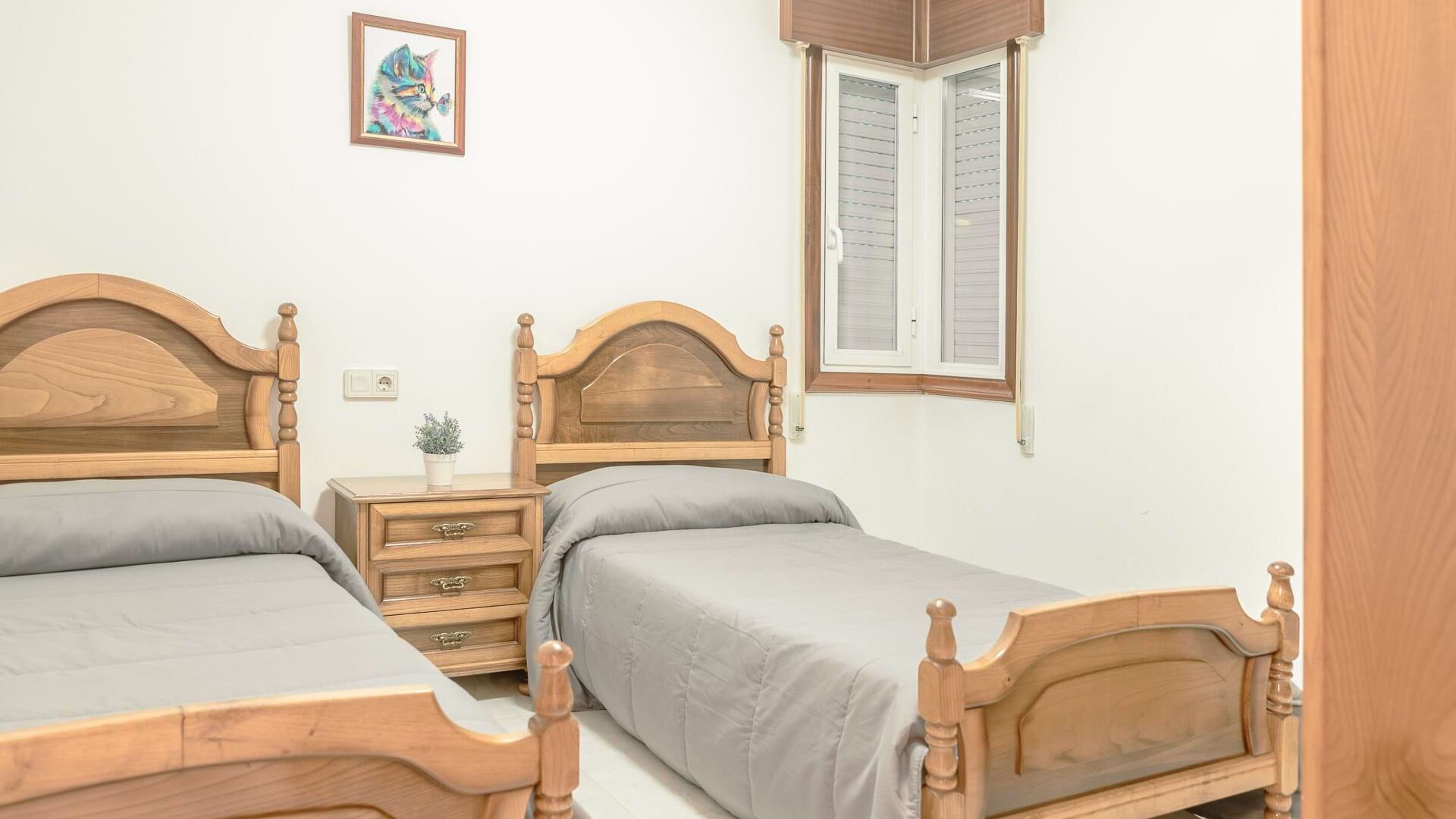 Apartamento de 3 dormitorios y terraza